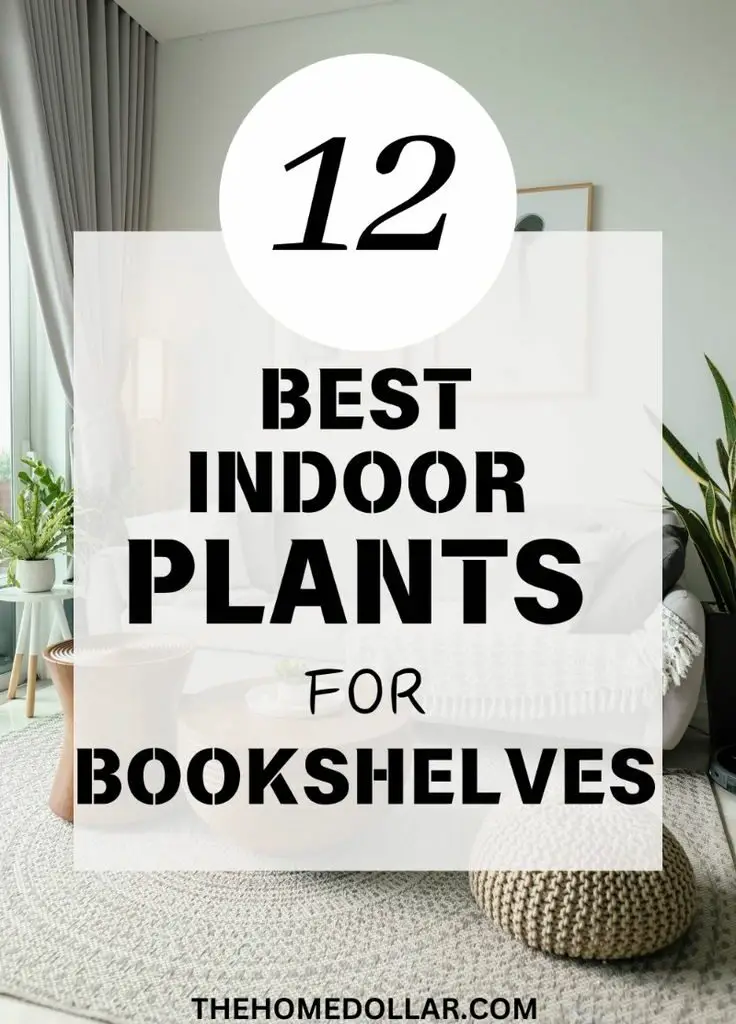 12 best indoor plants perfect for your etagere bookshelf 